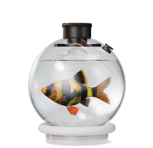 4-6-8" TankMatez Hydraulic Silent Release Bubble Fish Trap